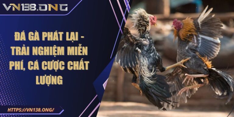 Đá gà phát lại - Trải nghiệm miễn phí, cá cược chất lượng 1 da ga phat lai
