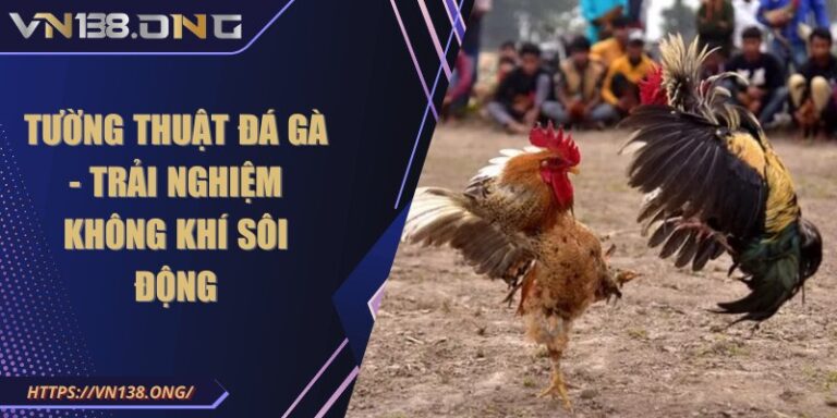 Tường thuật đá gà - Trải nghiệm không khí sôi động 1 tuong thuat da ga